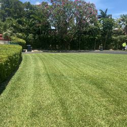 Landscaping 
