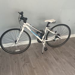 Breva Forge Sport 28” Bike