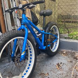 Mongoose Argus Trail 24 Special Edition Blue fat tire MTB Bike