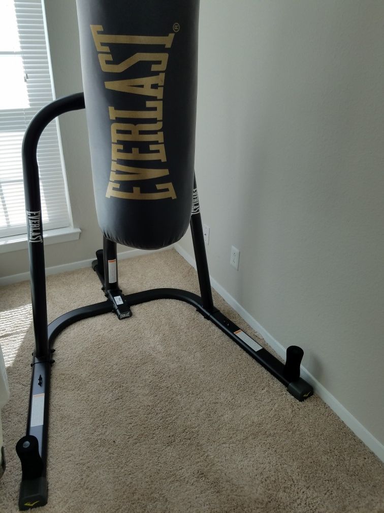 Everlast punching bag and gloves