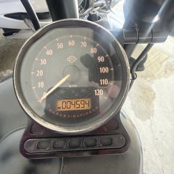 Harley Davidson / Motorcycle