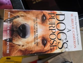 Reading Books