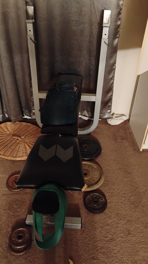 Bench Press Preacher Bar And Free Weights