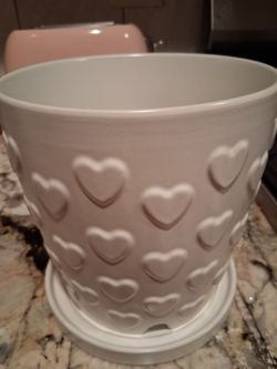 Plant Pot