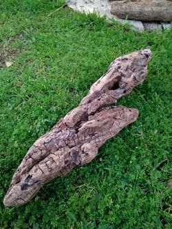 Driftwood For Aquariums Terrariums Decor
