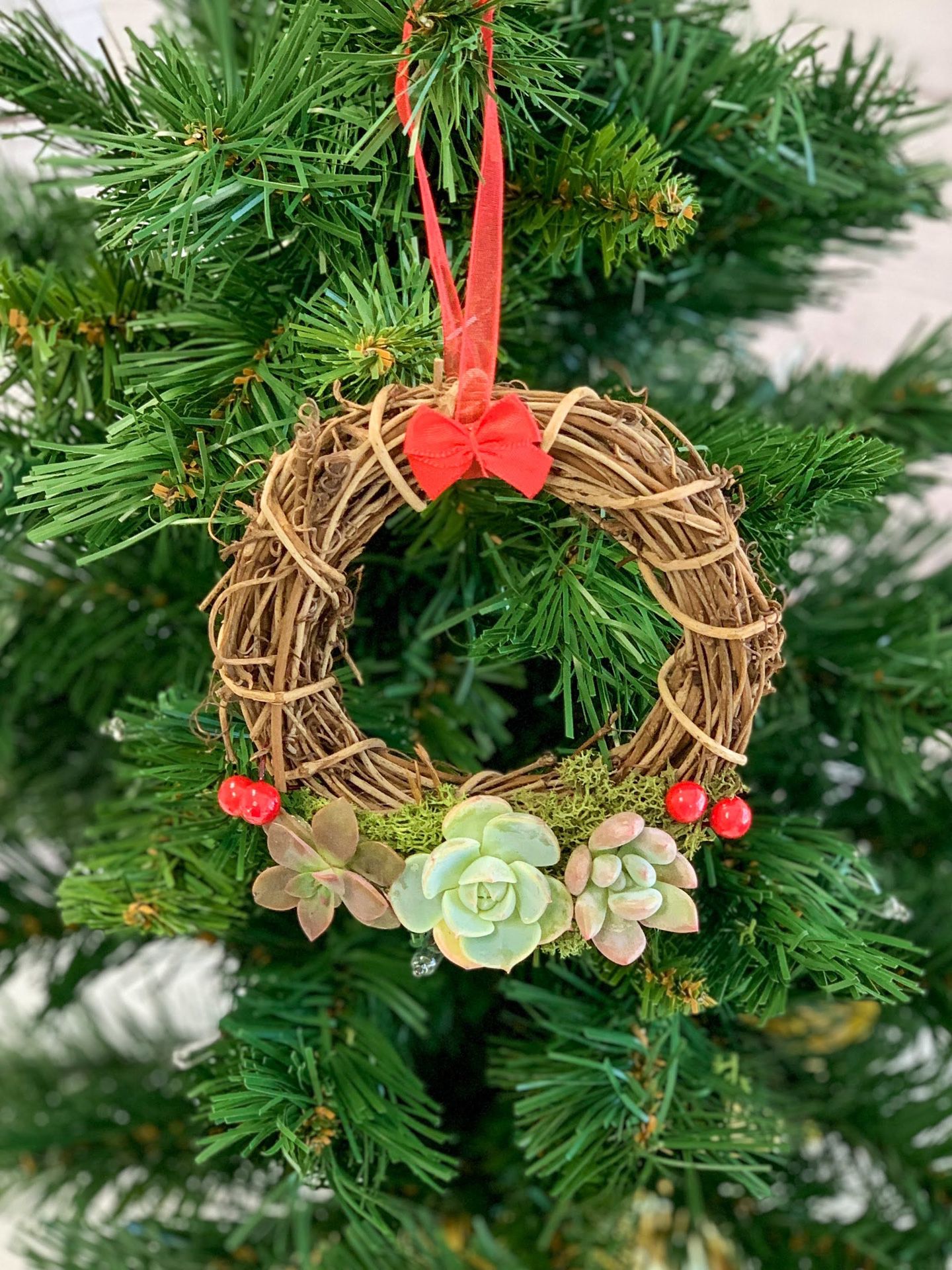 Succulent Christmas Wreath Ornament