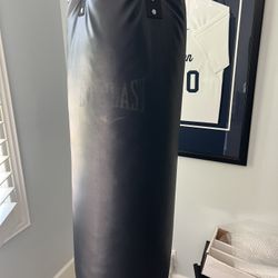 Everlast PowerCore Punching Bag