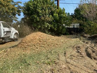 Organic Mulch