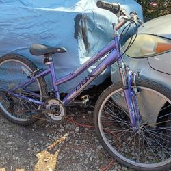 Dbx 24 Inch Mountain Bike 