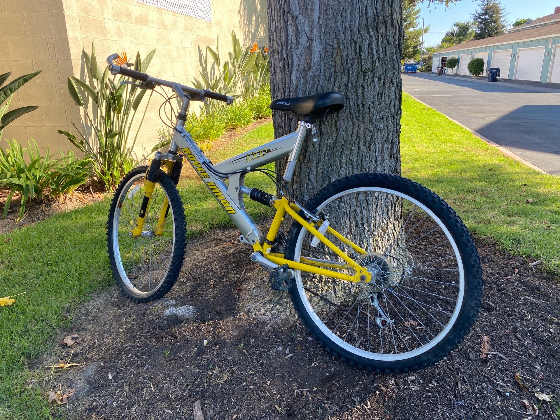 Mountain Bike