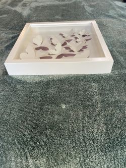 OLUNDA 11 3/4 X 11 3/4 “