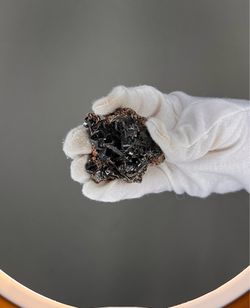 mal#133 Garnet var. Melanite on Actinolite 73g