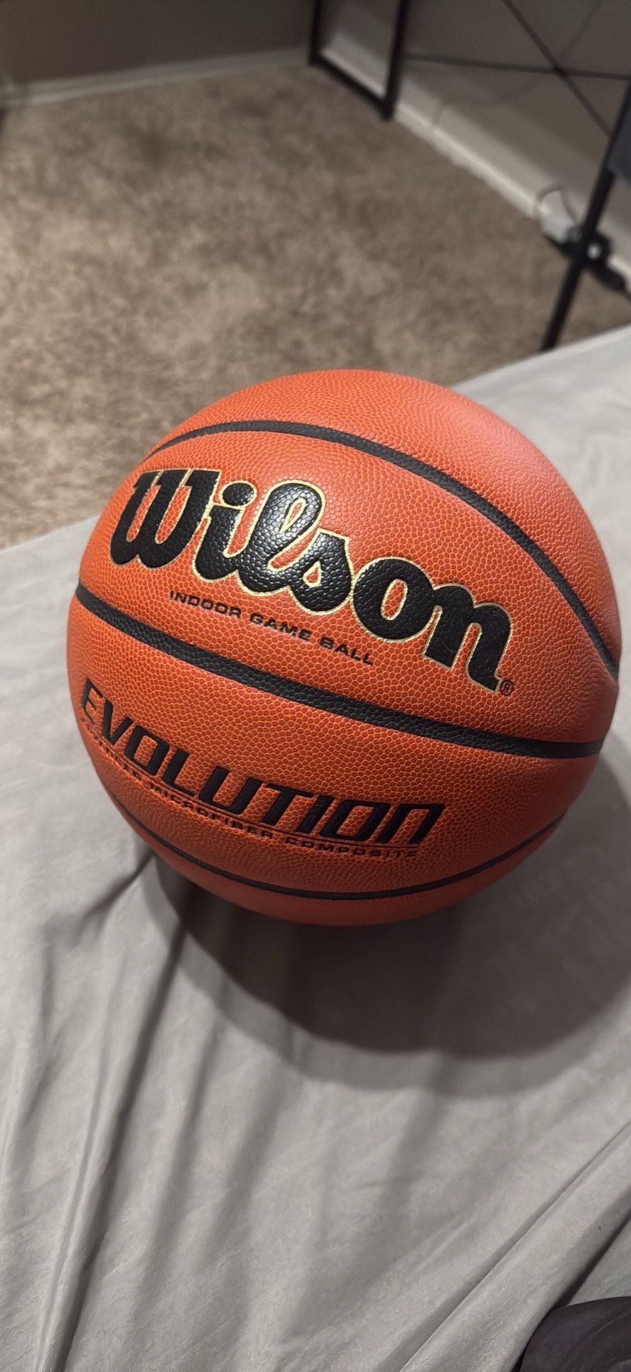 Wilson Evolution Basketball NEED GONE!!