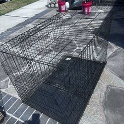 Pet Kennel
