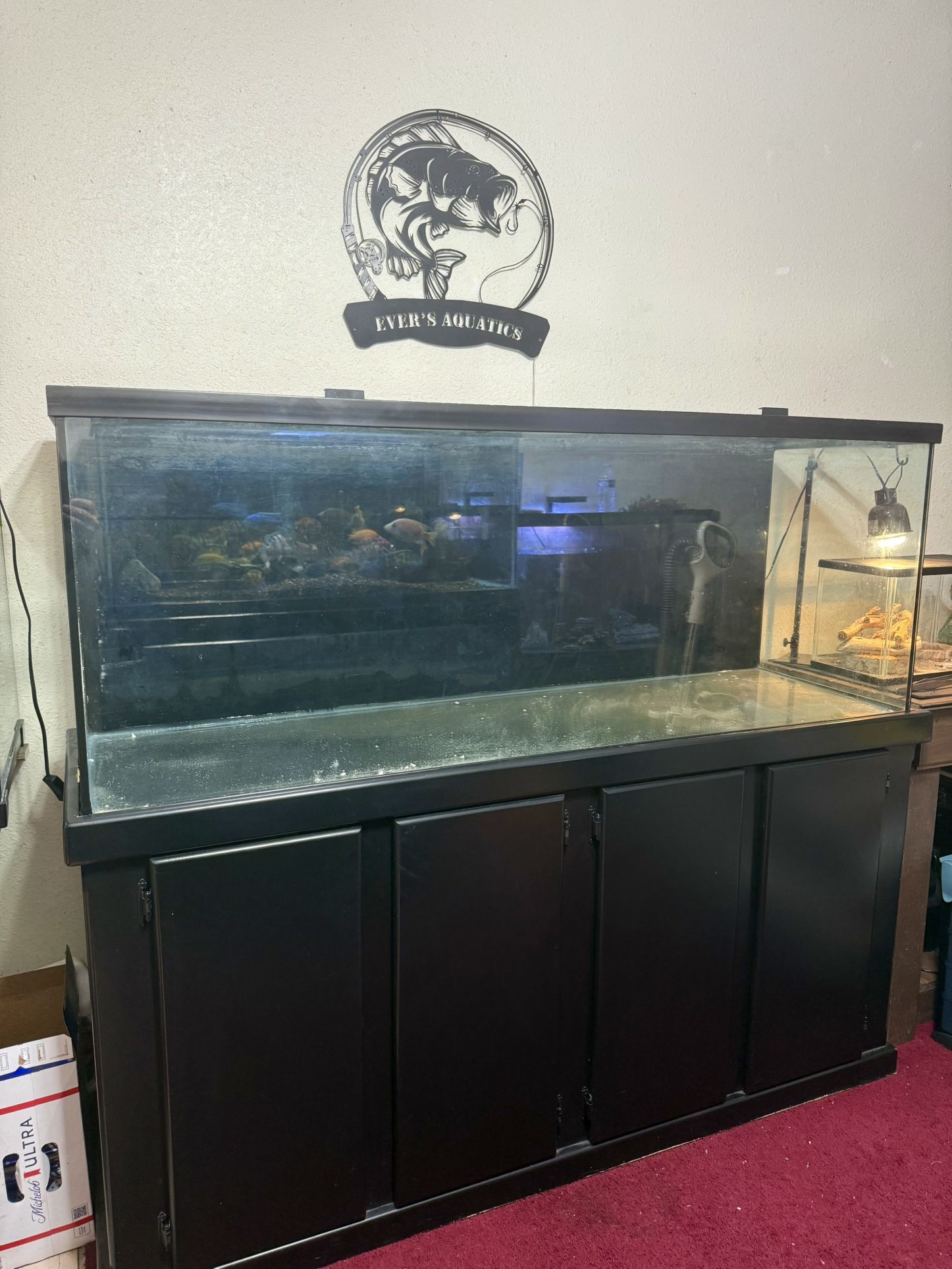 Aquarium