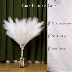 5 PCS Pampas Large Pampas Grass 40'' Tall Pampas Grass for Floor Vase (White)