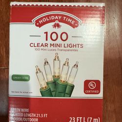 100 Clear Mini Lights