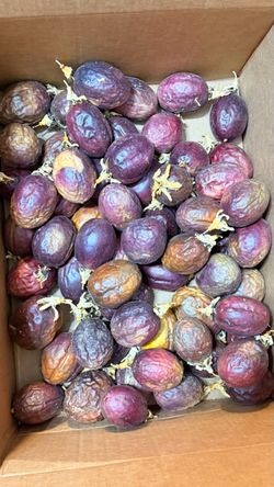 Fresh Passion Fruit for Sale – Sweet & Flavorful
