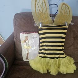 Honey Bee