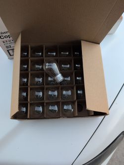 30 String Light Bulbs 