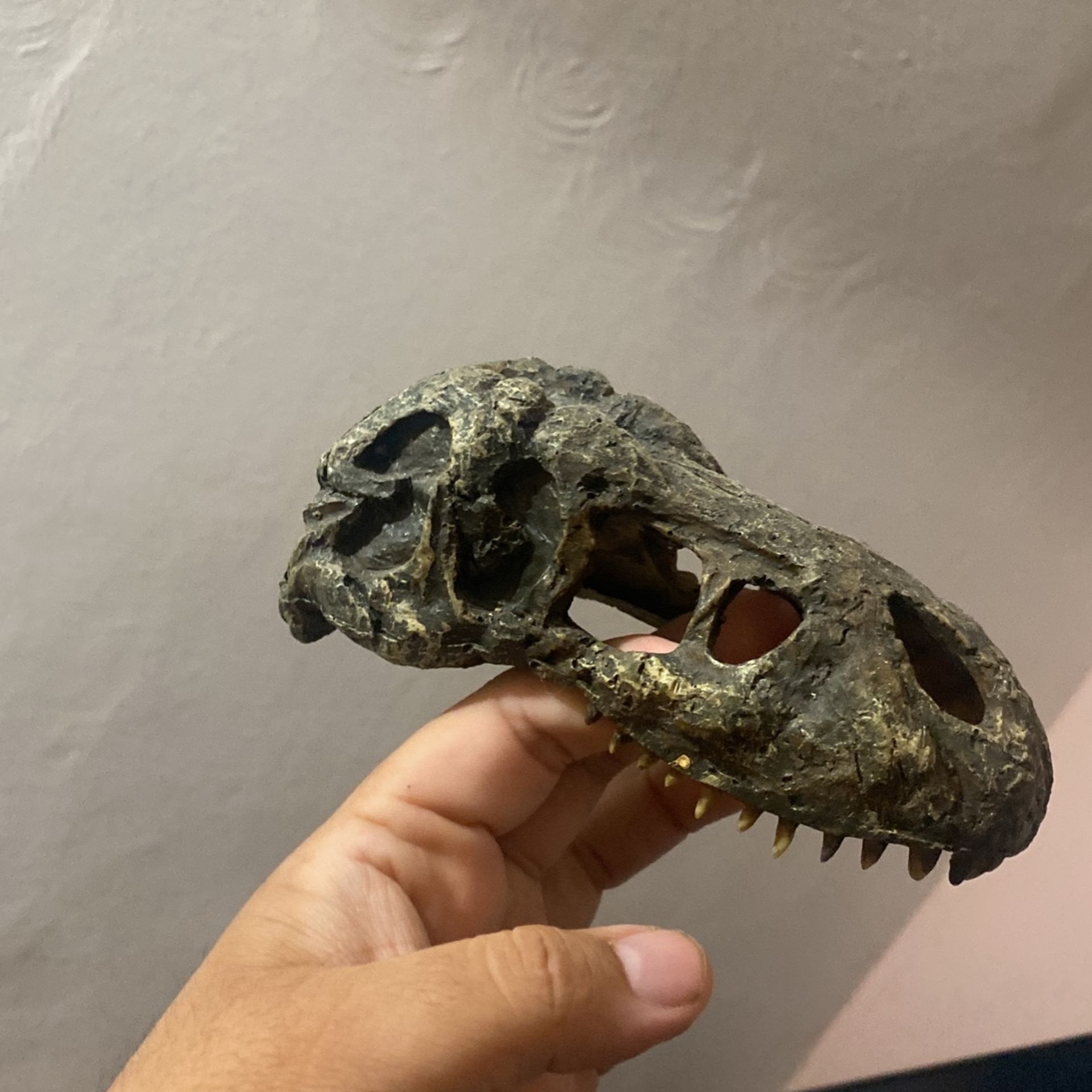 T-Rex Head For Aquarium Or Reptile Terrain