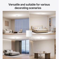 Homelist flush ceiling light