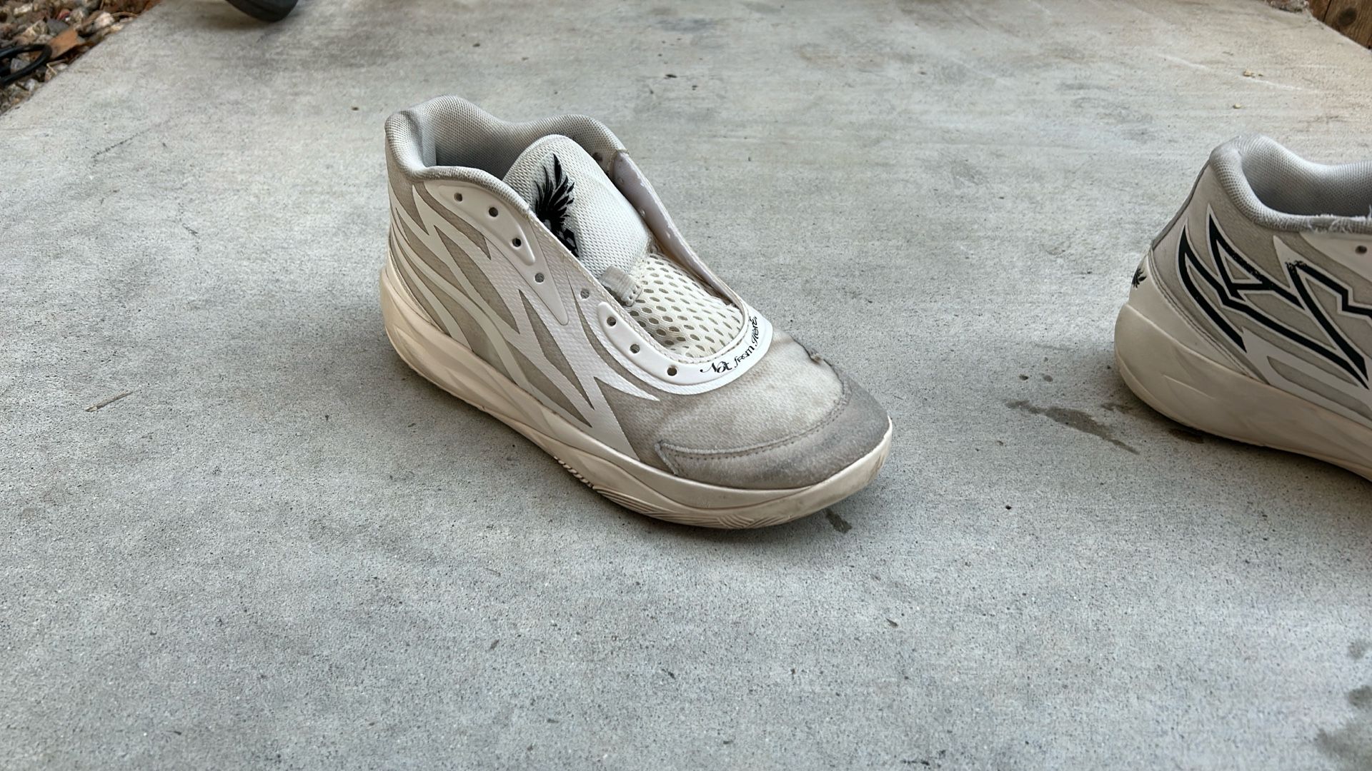 Lamelo Ball Size 7