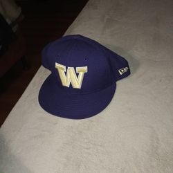 Washington Huskies 