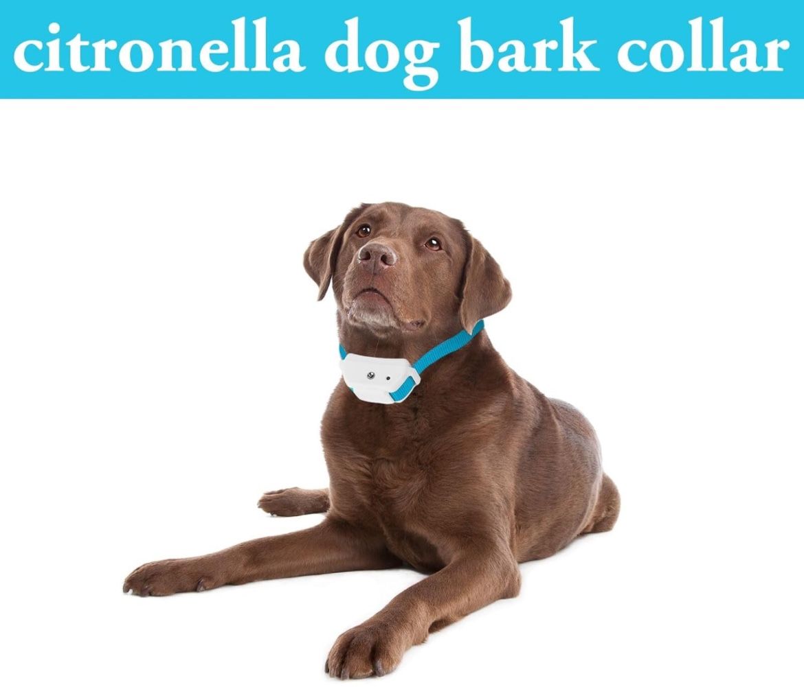 Citronella Dog Bark Collar,Anti Bark Spray Collar,Humane Citronella Dog Bark Training Collar for Small Medium and Large Dogs