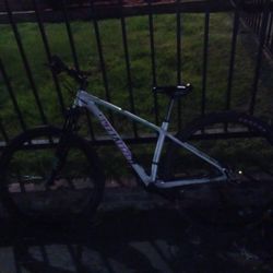 Specialized Rock Hopper