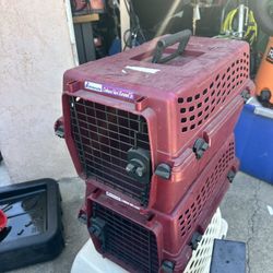 Dog Cage $20 Each