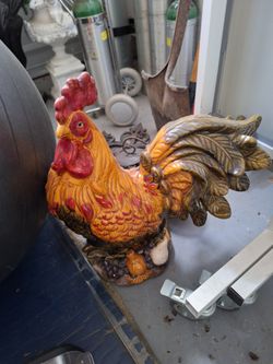 Rooster