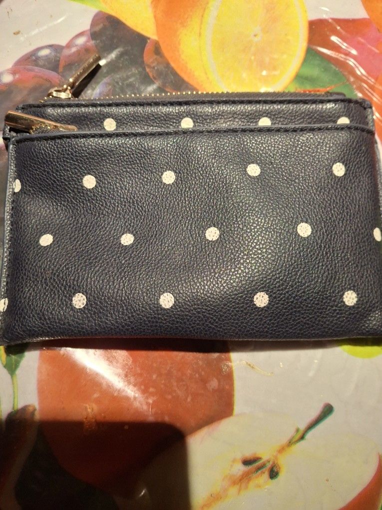 Blue Polkadot Wallet