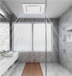 Extractor de baño de lujo 
#0051