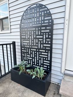 Black metal planter with trellis