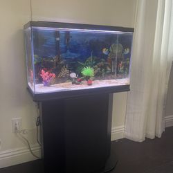 30g Fish Tank , Stand And Fluval 207 Canister Filter 