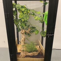 Reptile Enclosure