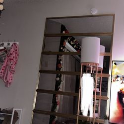 Body mirrors Need Gone ASAP