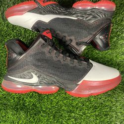 Size 12 - Nike Lebron 19 Low Bred 