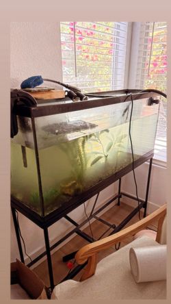 80 gallon fish tank / reptile