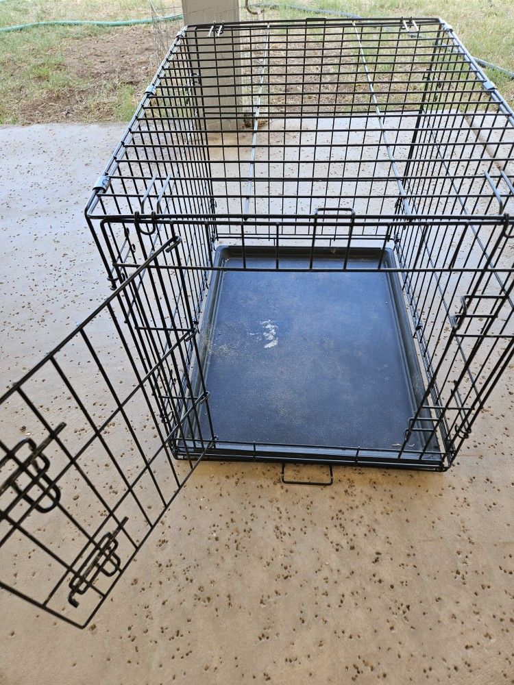 medium dog kennel