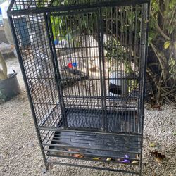 Cage