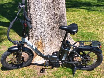 Folding Ebike (15mph)
