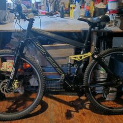 GENESIS Adult Bike 29" Wheels 