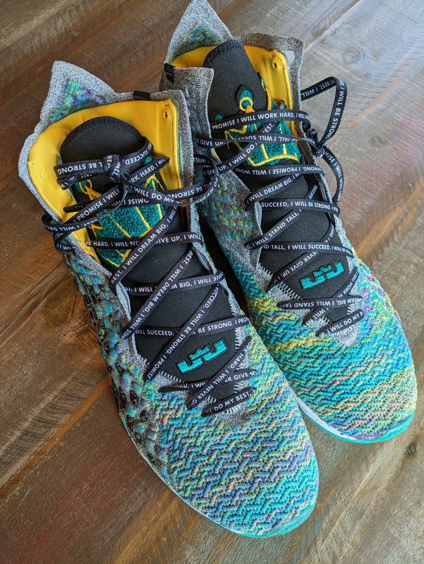 Brand New Nike Lebron XVII LJFF Size 18