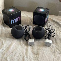 2 Apple HomePod Mini (Space Gray) – Like New w/ Boxes 