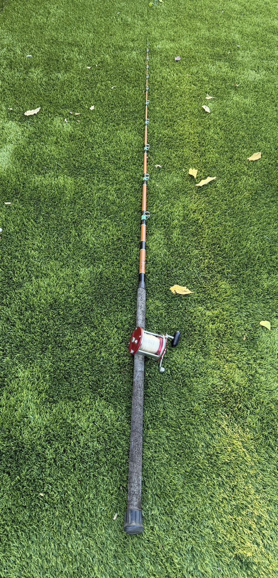 Calstar-270 & Penn Jigmaster fishing combo