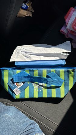 TRADER JOES STRIPED mini insulated bag