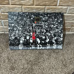 Michael Jordan Stretch Canvass