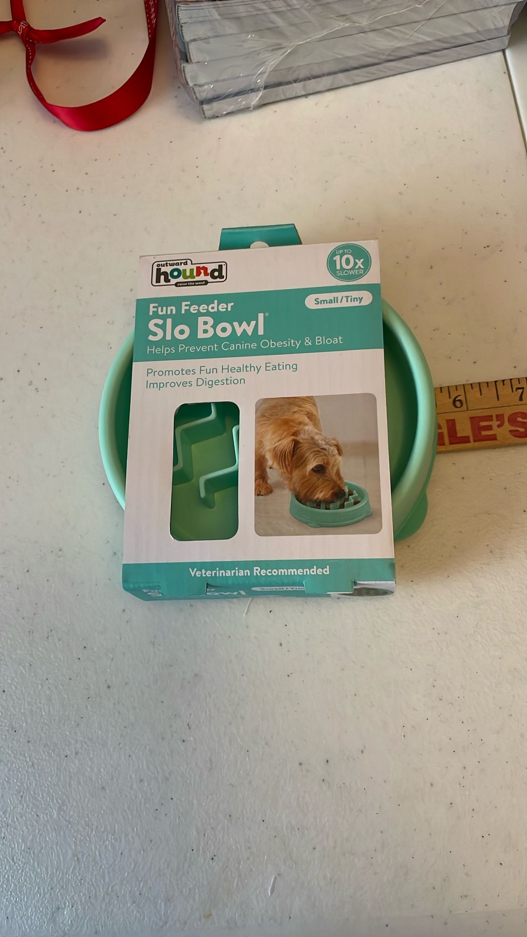 Fun Feeder Slow Bowl 5.5” Round